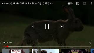 Cujo (8/8) Movie CLIP - Bats Bites (1983) HD