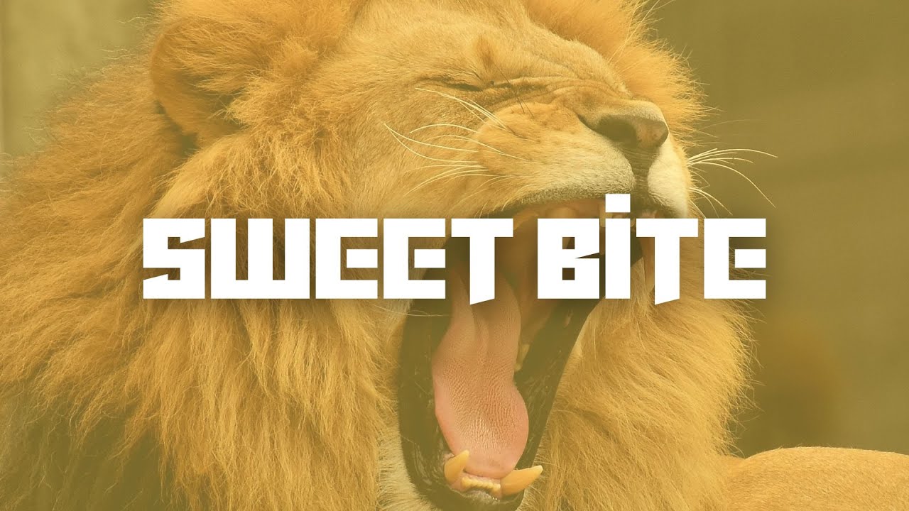 [FREE]  CHILL TYPE BEAT - Lofi Type Beat | emotional beat | TRAP FREE BEAT "Swett Bite"