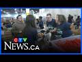 Volunteers pack food for GTA communities as food insecurity reaches record levels