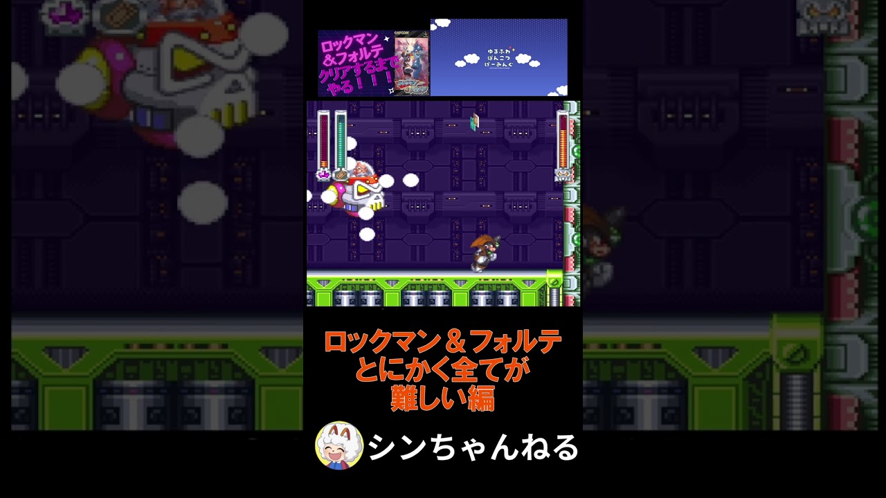 ロックマン＆フォルテ_とにかく全てが編