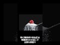 タンパク尿の原因とは？ #shorts