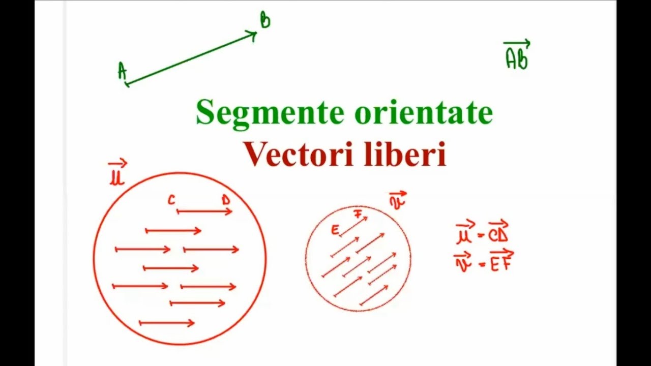 Cap.28.1 - clasa a IX-a - Segmente orientate. Vectori liberi + Aplicație