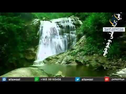 إن العبد ليتكلم بكلمه من سخط الله