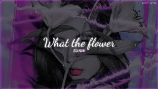 What The Flower ✧ Sunmi - traducción al español ༄