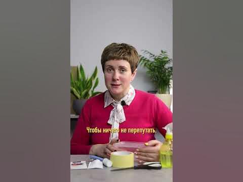 Мини-теплица дома! Прорастут любые семена - YouTube