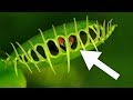 Are you smarter than a plant? In conversation with Dr Steven Gundry