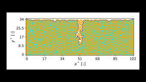 Throat Network - Discrete Element Method (TN-DEM) simulations