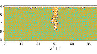 Throat Network - Discrete Element Method (TN-DEM) simulations