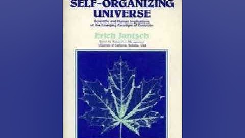 The Self Organizing Universe by Erich Jantsch | Summary