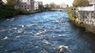 Ireland-Galway - Nov 2009 Ireland-Galway - Nov 2009