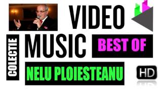 Nelu Ploiesteanu   Leaga ti lele coada stanga