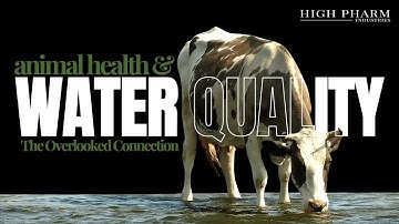 The Overlooked Connection Water Quality and Animal Health