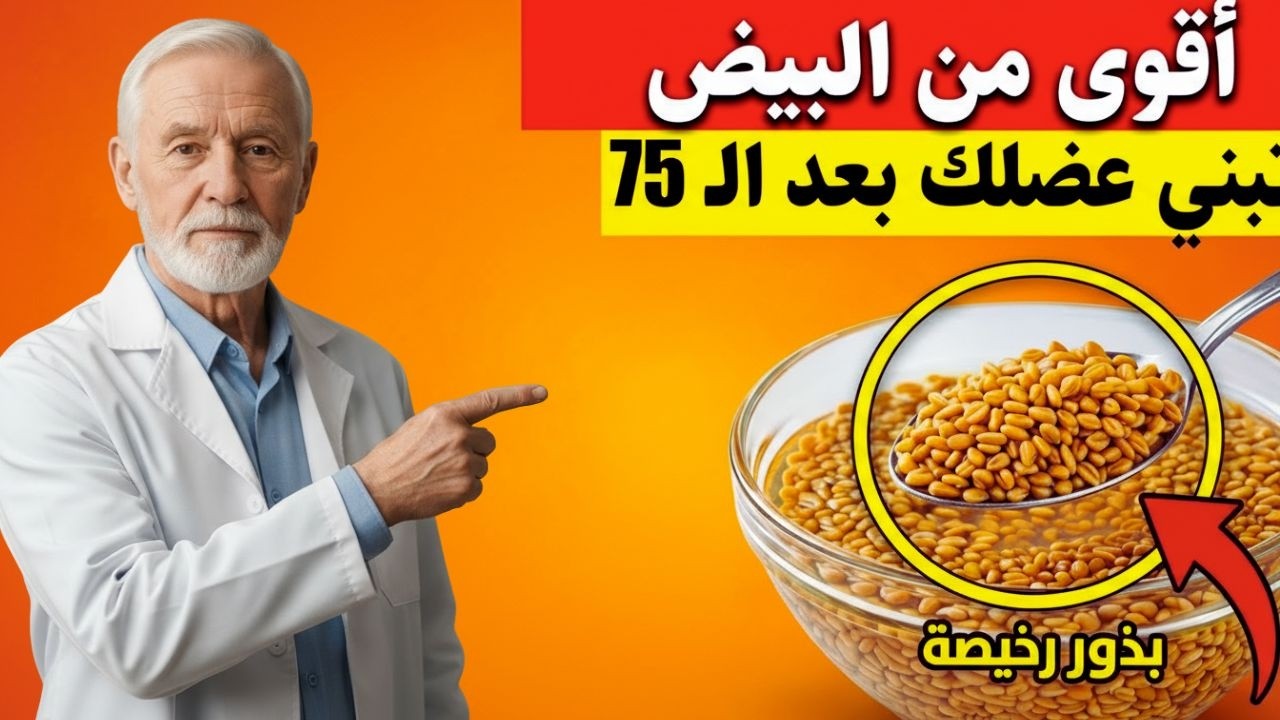 أقوى من البيض بمليون مرة! بذور رخيصة تبني عضلاتك بعد سن الـ 75 وتنسف الشيخوخة |