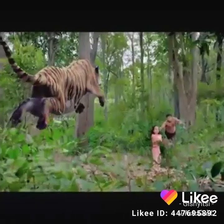 agasobanuye gashya rock kirabiranya