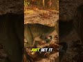 NEVER Pick Up Eggs Again! (New Oviraptor Utility)  #arksurvivalascended #arkbeginnerguide #gaming