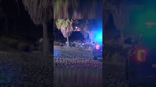Driver Killed In Freeway Crash