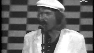 Rubettes - Megamix