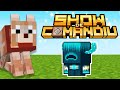 ✴️ Show De Comandiu #8 - Entrevista al WARDEN