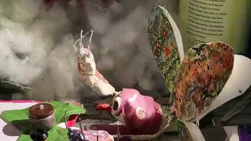 Icarus: CSSSA 2015 Final Film