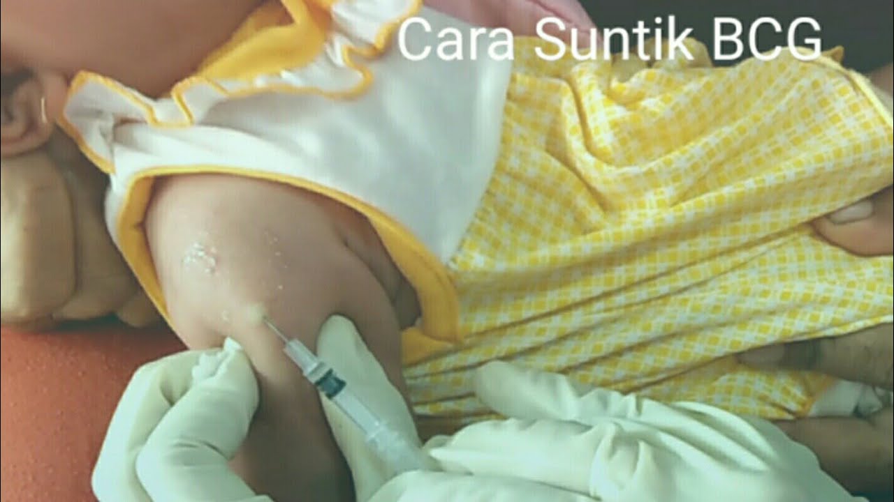 Cara Suntik BCG  YouTube