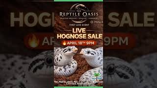 FIRST LIVE AUCTION !
