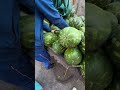 شريت دلاح بدكاء الإسطناعي شريت دلاح بدكاء الإسطناعي