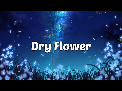 | Lagu Jepang | Yuuri - Dry Flower (Covered by KOBASOLO & Nagie Lane ) Lirik & Terjemahan (ROM/IND)