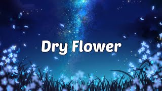 | Lagu Jepang | Yuuri - Dry Flower (Covered by KOBASOLO & Nagie Lane ) Lirik & Terjemahan (ROM/IND)
