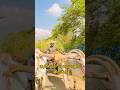 ஒர உற ச கம ன வ வச ய உடன ச ற ய உர ய டல Tamilvlog Tamilshorts Shorts 