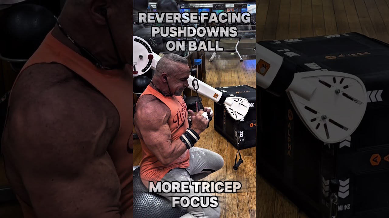 TRICEP MAX GROWTH FOCUS #workout #motivation #muscle #workouttips #triceps #tricepsworkout