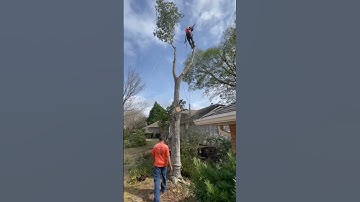 Span Rigging 🔥❤️💪