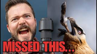 I Spent 40 Hours in a Bird Hide - 5 Mistakes to Avoid