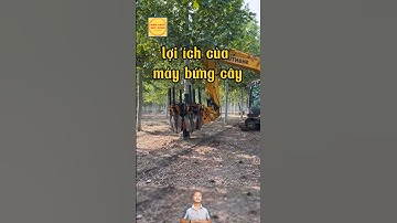 lợi ích của máy bứng cây 🤷‍♀️#máy_múc #máy_bứng_cây  #kiến_thức_xây_dựng