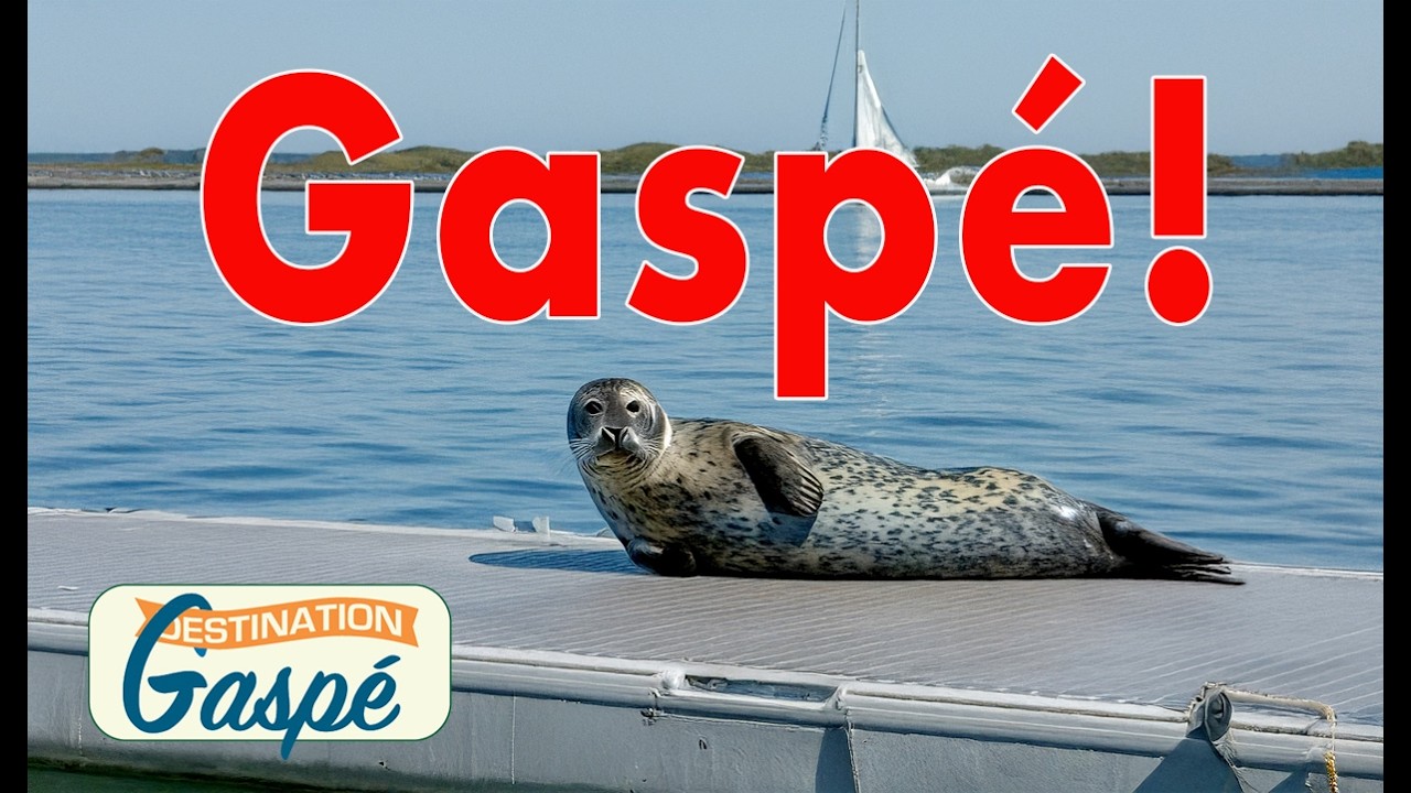 ⁣Les p'tits gars de Gaspé (S05E10)