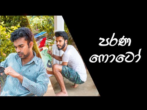 sanai-ranai---parana-photo-/-සනයි-රනයි---පරණ-ෆොටෝ