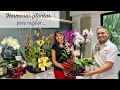 PLANTAS el mejor REGALO  | hermosas flores del vivero ORQUIVALLE