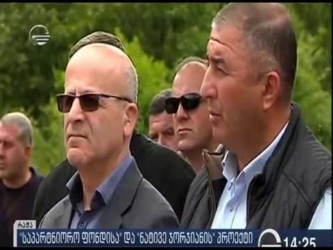 13 მილიონი - საღორეების ასაშენებლად!