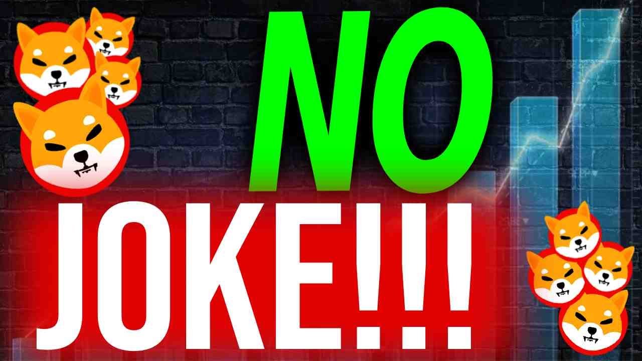 THIS IS EXACTLY HOW SHIB WILL DROP ZERO THIS WEEK!! - SHIBA INU COIN NEWS TODAY