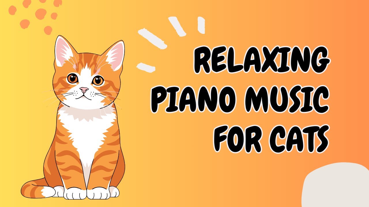 Relaxing Piano Sounds to Relax Stressed Cats and Kittens