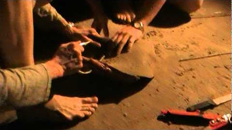 Rigging 14 lbs of stingray for shark