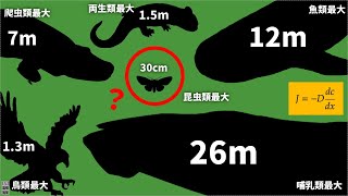 【未解決問題】なぜ昆虫は巨大になれないのか？