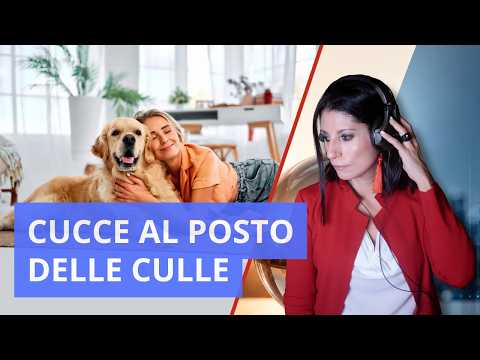 Cucce al posto delle culle: il fenomeno del pet parenting - Il Punto [36]