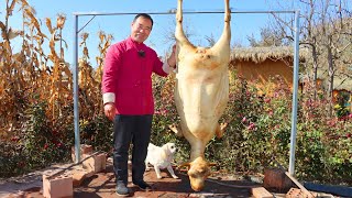 Slaughter Whole Sheep and Make Lamb Soup with Vermicelli | Uncle Rural Gourmet