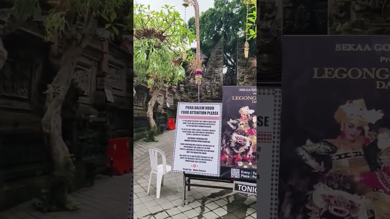 Indonesia series 13   ubud beauty