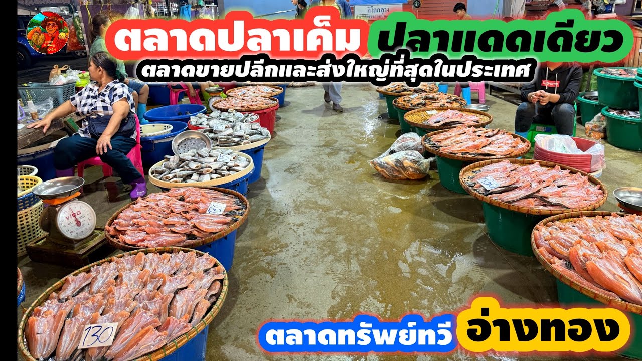 #ตลาดปลาเค็ม #ปลาแดดเดียว #ขายปลีกและส่งใหญ่ที่สุดในประเทศ #ตลาดทรัพย์ทวี #อ่างทอง #ลุงน้อยchannel