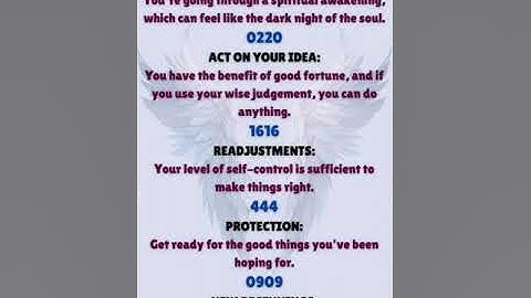 ANGEL NUMBERS: "1001" | "0220" | "1616" | "444" | "0909"