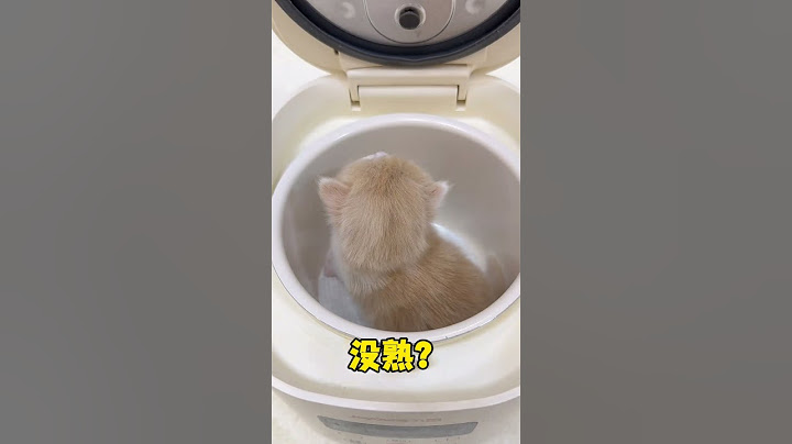 一不小心给炒糊了 #小奶猫 #铲屎官的乐趣 #猫咪的迷惑行为