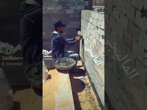 الماليجي بقول يا سلام لو لقيت نفوس بسلام