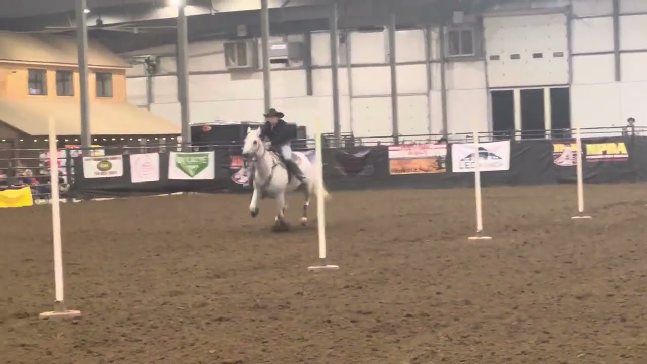 NPBA Finals 3D Money