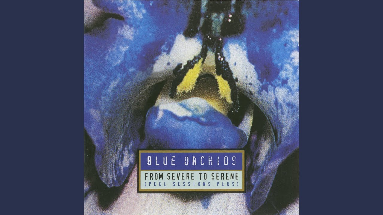 Sun Connection (1982 Session Version)